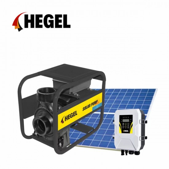 HEGEL 110 VDC 1500W DC SOLAR SALYANGOZ YÜZEY POMPASI
